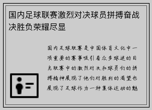 国内足球联赛激烈对决球员拼搏奋战决胜负荣耀尽显